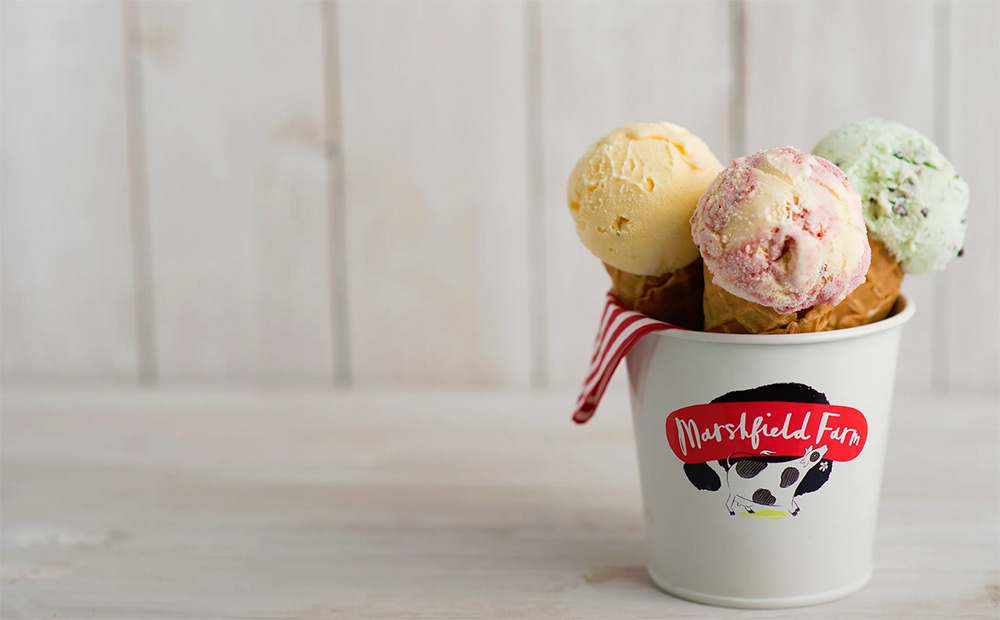 3 scoops of Marshfield Farm ice creams in cones, which are standing in a Marshfield Farm Ice cream Pot