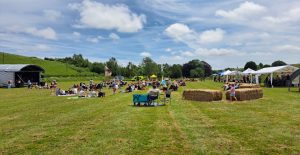 A wide view of a sunny outdoor music festival with crowds seated on the grass, a stage on the left, hay bales in the middle, and Fat Sam’s Blue ice cream van in the distance.